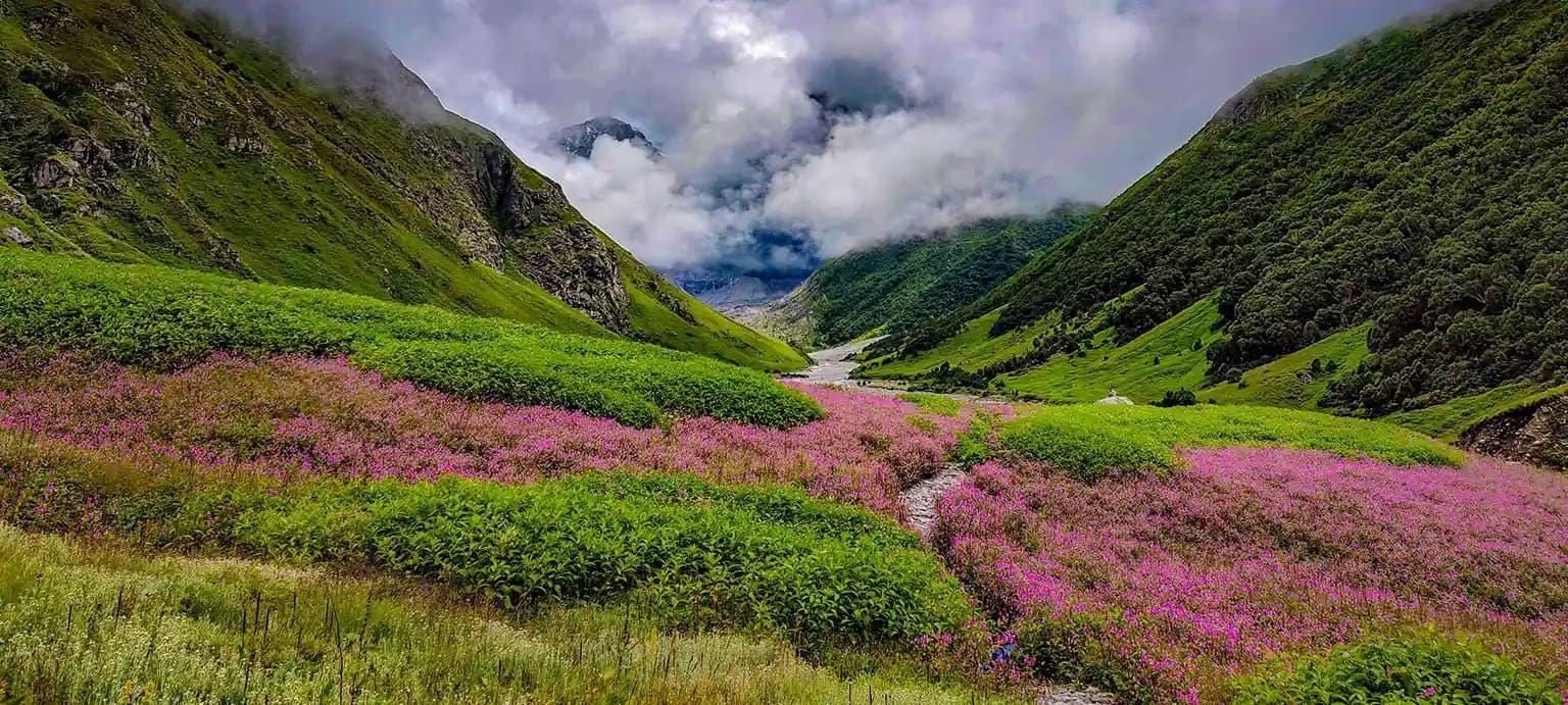 Valley of Flowers Trek Complete Guide